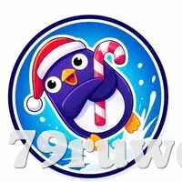安全登录器